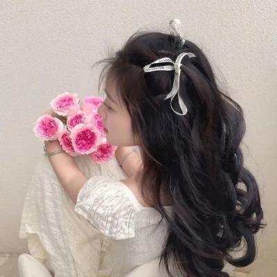波托先生